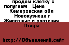 продам клетку с попугаем › Цена ­ 3 000 - Кемеровская обл., Новокузнецк г. Животные и растения » Птицы   